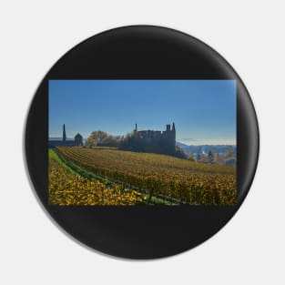 Burkheim, Kaiserstuhl - the castle Pin