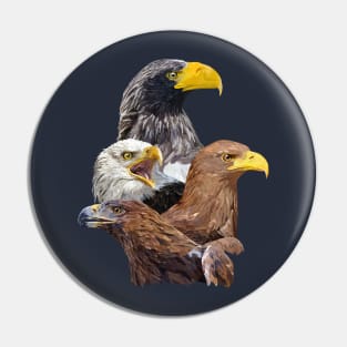 Eagle and eagle Pin