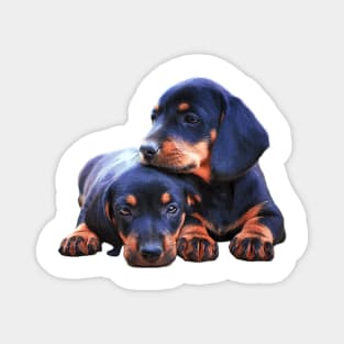 Sweet Dachshund Puppies Magnet