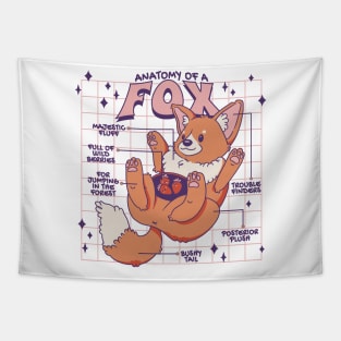 Anatomy Of A Fox Cute Funny Fox Design Tapestry