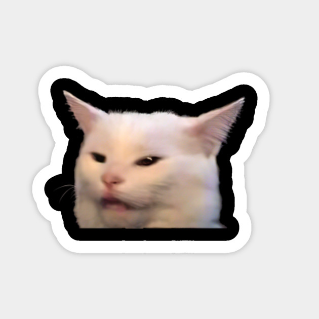 Woman Yelling At Cat Meme Japanese Meme Wall