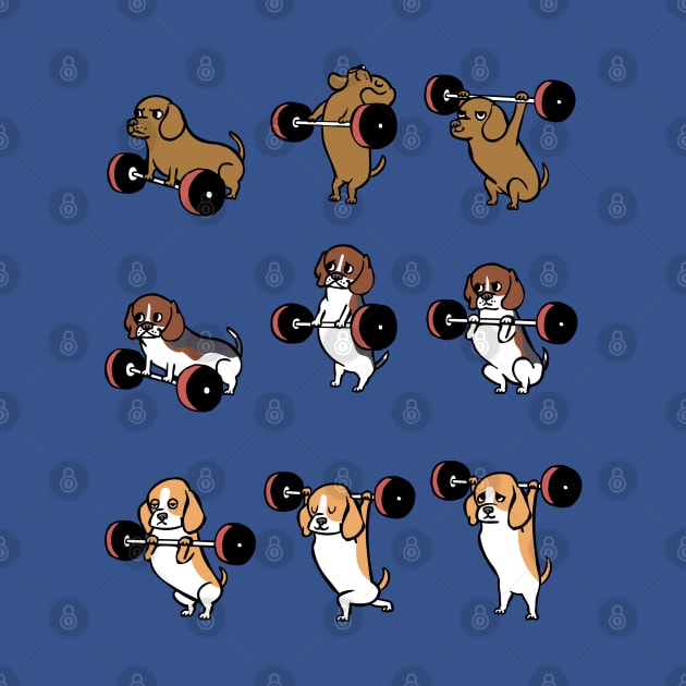 Olympic Lifting Beagles by huebucket