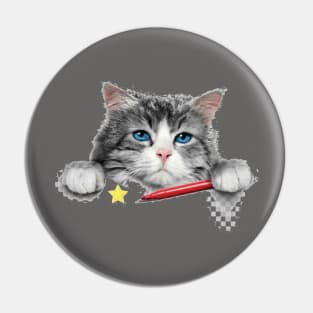 Cat Pin