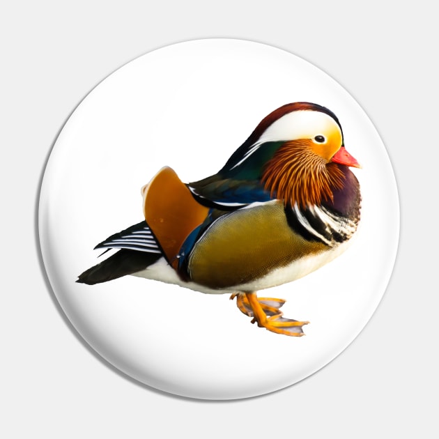 Mandarin duck Pin by kawaii_shop