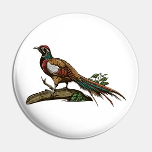 Hand Drawn Exotic Bird on tree branch Pin