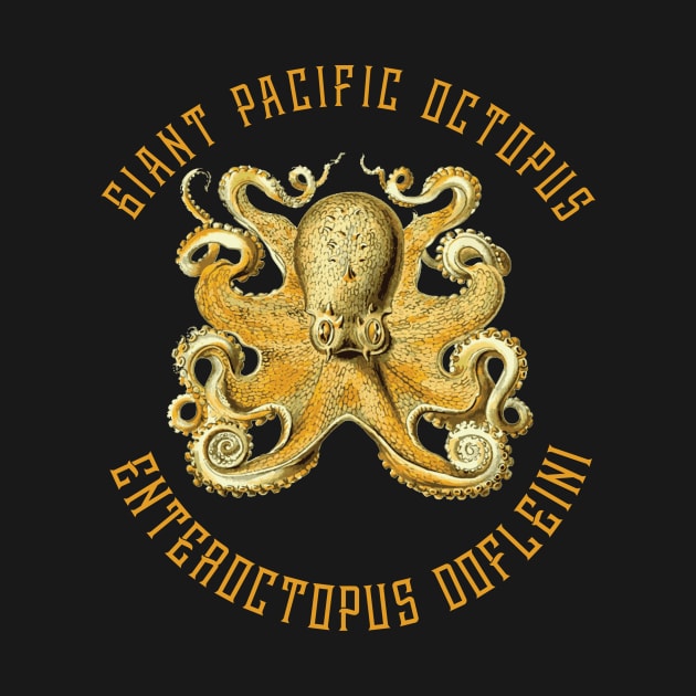 Giant Pacific Octopus by shipwrecked2020