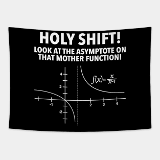 Holy Shift Look At Asymptote On That Mother Function Tapestry