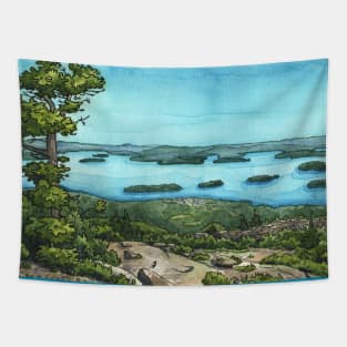 Cadilac Mountain View in Acadia National Park Tapestry