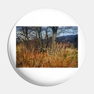 Bieszczady mountains Pin