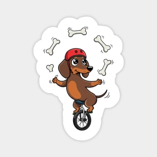 Dashing Dachshund Juggler Magnet