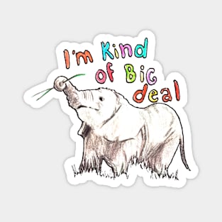 I´m kind of big deal Magnet