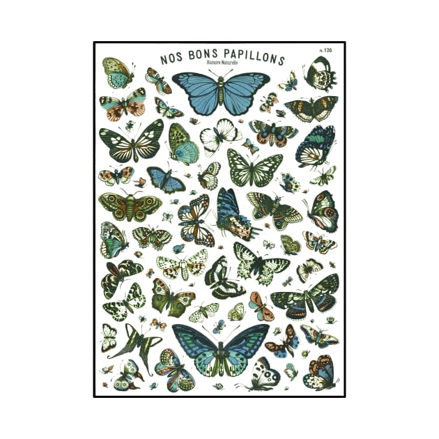 Butterfly Botanical by vintageinspired