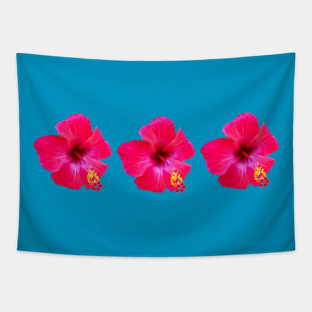 Three Red Hibiscus Floral Beach Vibe Tapestry by ellenhenryart