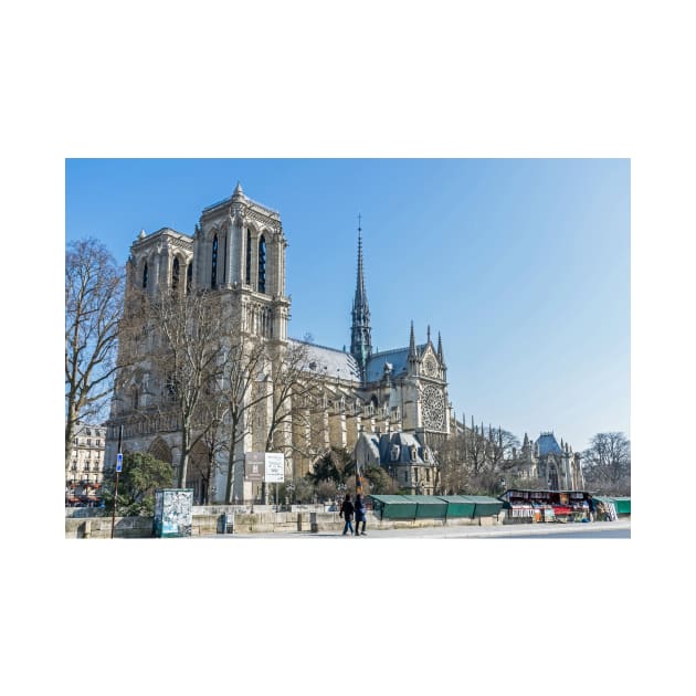 Paris Notre Dame Cathedral view by TDArtShop