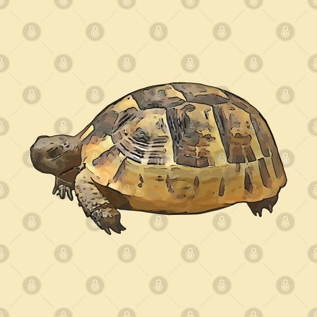 Side View of A Young Wild Tortoise Cartoon Cut Out by taiche