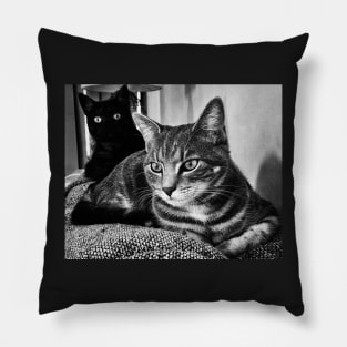 Two Cats Pillow