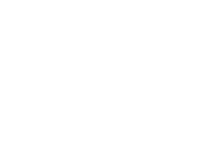 Afghan Hound Training Boxer Dog Tricks Magnet