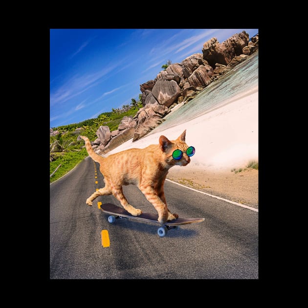 Cat With Sunglasses On Skateboard At Beach by Random Galaxy