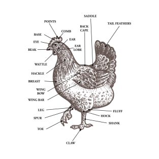 Chicken Anatomy Vintage Funny Cute T-Shirt