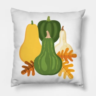 Squash Pillow