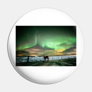 Icelandic horse under the northernlights. Pin