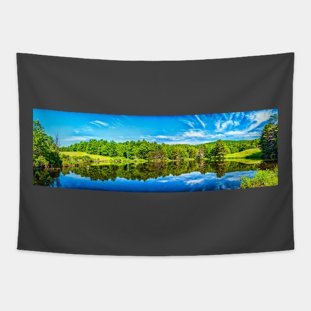 The Pond on Crane Brook Road Tapestry by Gestalt Imagery