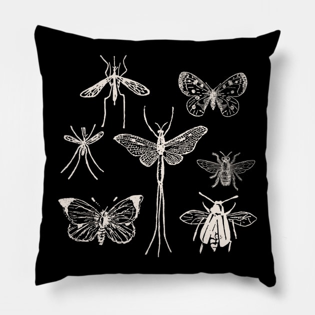 Moths & Butterflies & Insects & Dragonfly Pillow by zeljkica