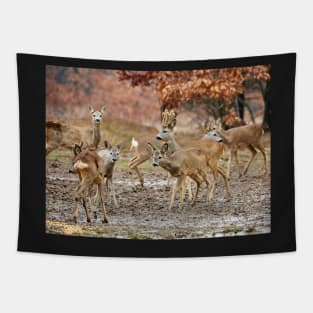 Roe deer family Tapestry