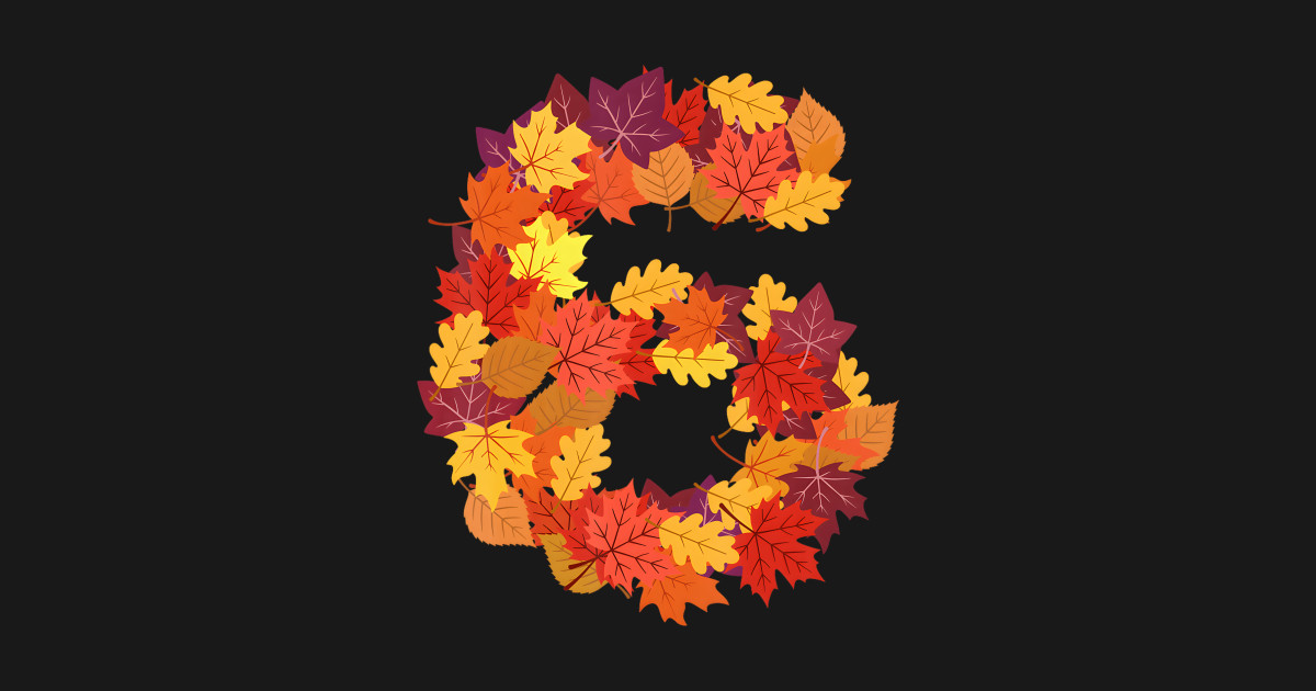 Number 6 6th Six Thanksgiving Fall Hap Sixth Birthday Party T Shirt