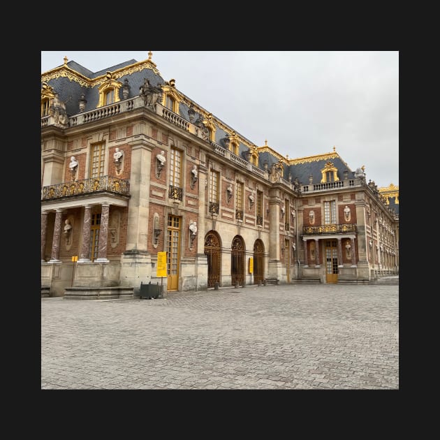 palace of versailles and its royal court by dreamtravel