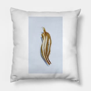 Dried Okra Pod Pillow