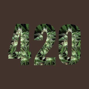 420 everyone! T-Shirt