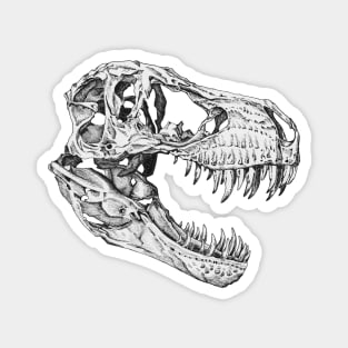 T-Rex Skull Magnet