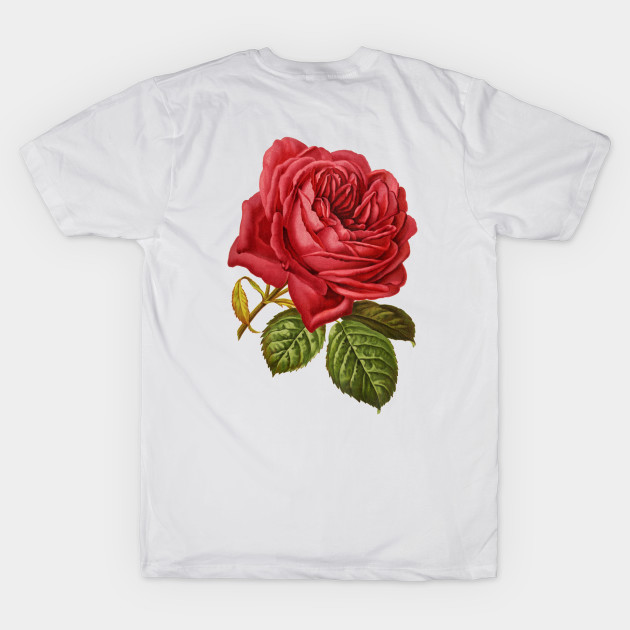 Red rose flowers illustration t shirt design