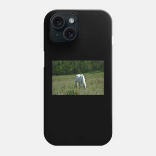 Wild Horse Phone Case