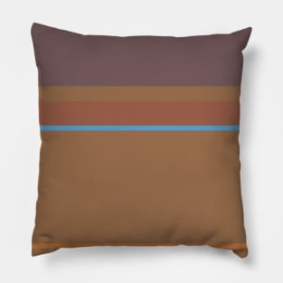 A captivating merge of Carolina Blue, Mocha, Deep Taupe, Redwood and Peru stripes. Pillow