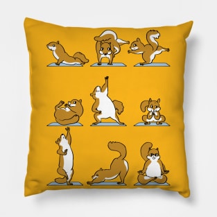 Squirrel Yoga Pillow