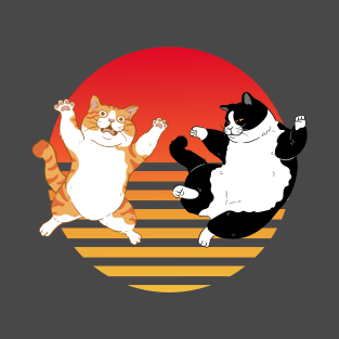 Kung Fu Derpy Cats T-Shirt