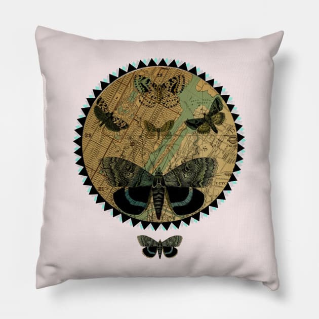 Butterlies Pillow by karenina