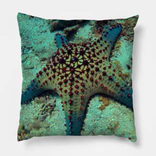 Chocolate Chip Sea Star Pillow