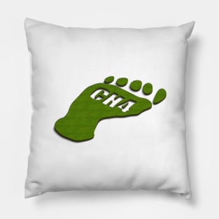 Methane footprint Pillow