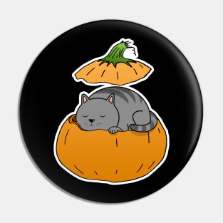 Pumpkin Cat Pin