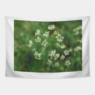 Cow Parsley Tapestry