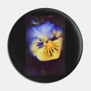 Pansy Glow Pin