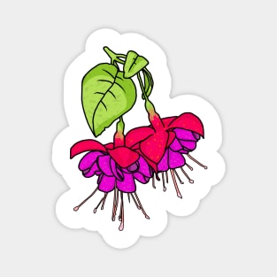 Fuchsia flowers Magnet