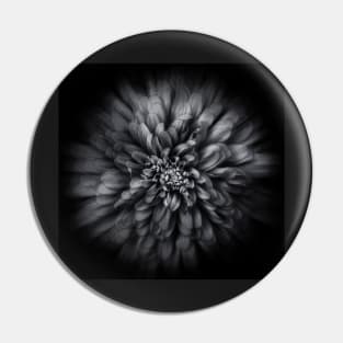 Backyard Flowers In Black And White 68 Flow Version Pin