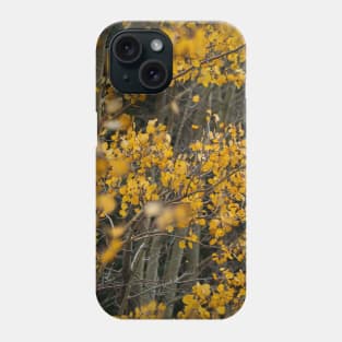 Fall Aspen Leaves Phone Case