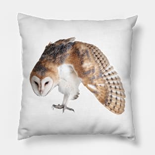 Defensive Young Barn Owl Pillow