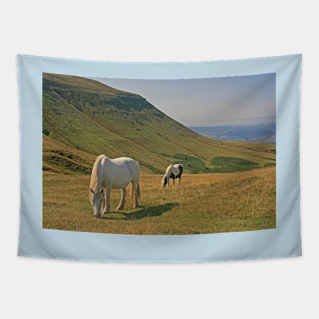 Hay Bluff, September 2022 Tapestry by RedHillDigital