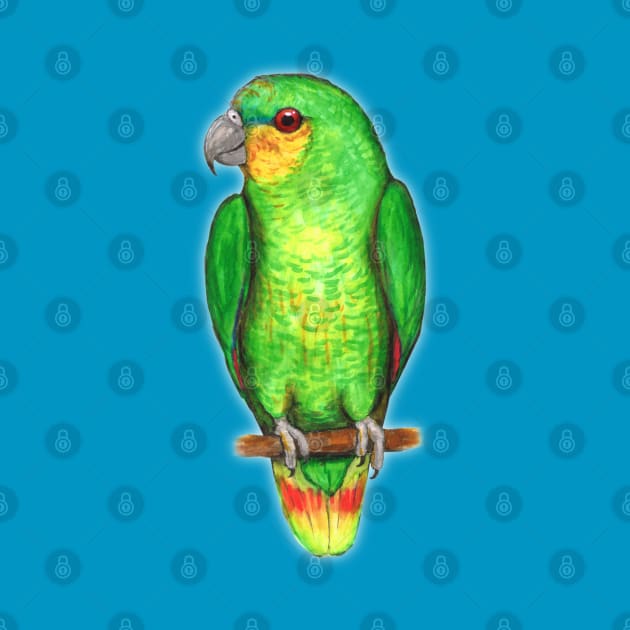 Orange winged amazon parrot by Bwiselizzy